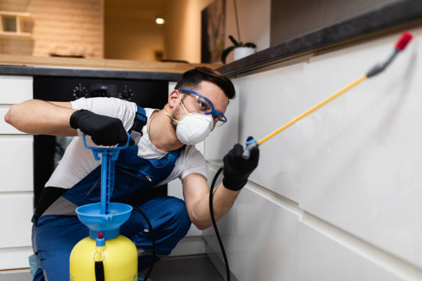 Best Exterminator Services  in Warrington, FL