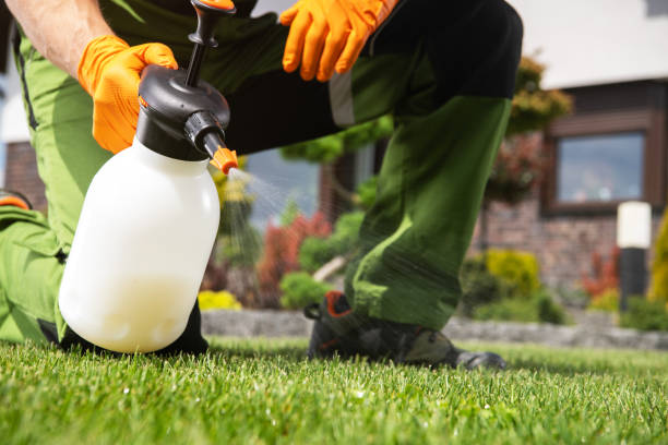 Insect Control in Warrington, FL