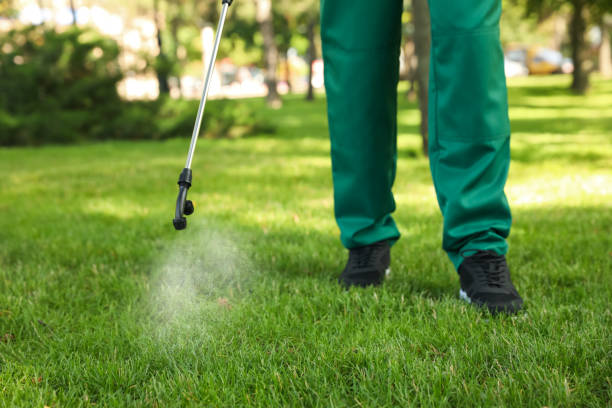 Best Mosquito Control Services  in Warrington, FL